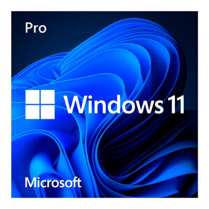 LICENCE PROFESSIONELLE WINDOWS 11